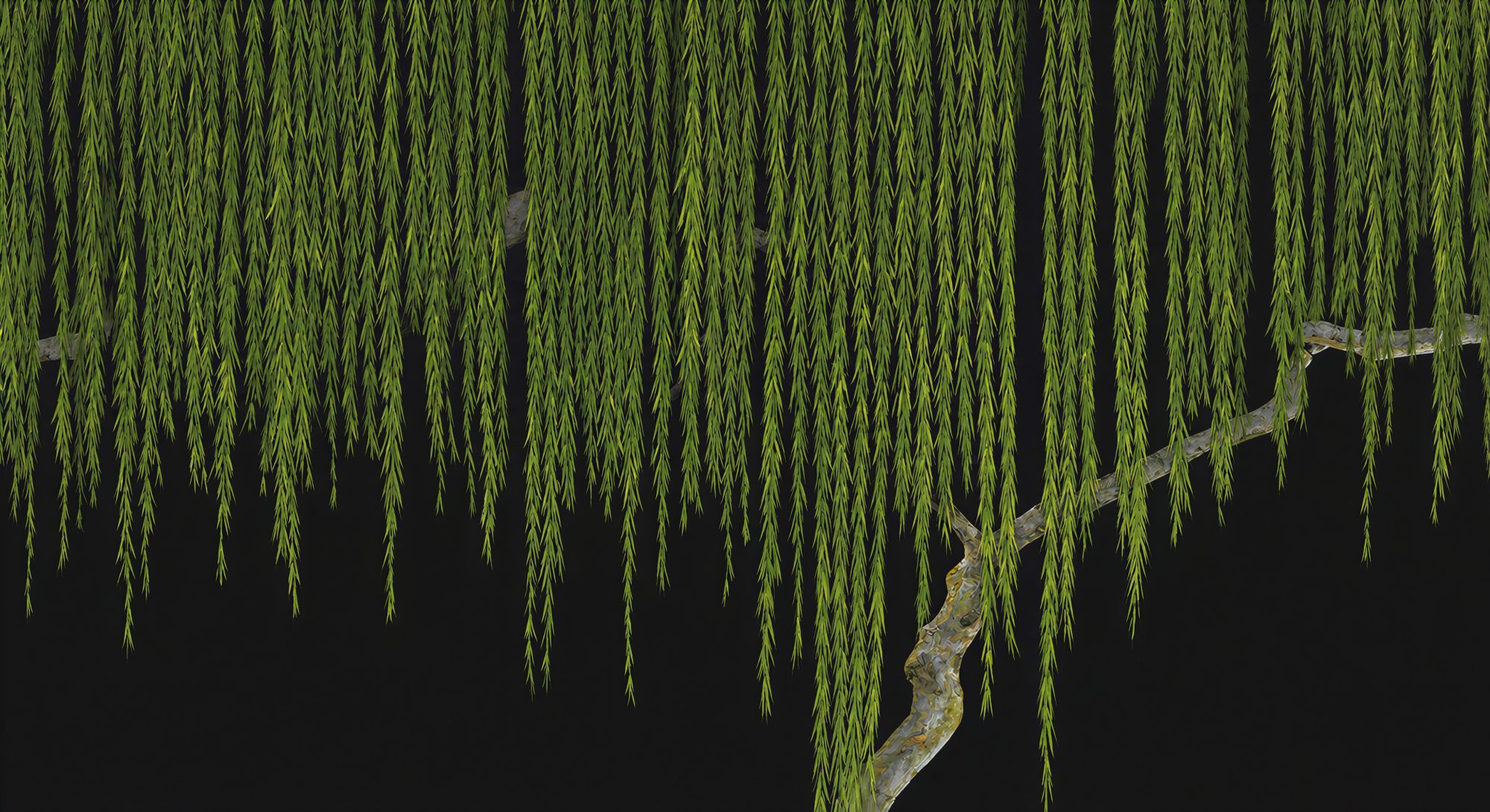 Midnight Willow 2 Wallpaper and Wall Murals South Africa Midnight Willow horizontal repeat tile