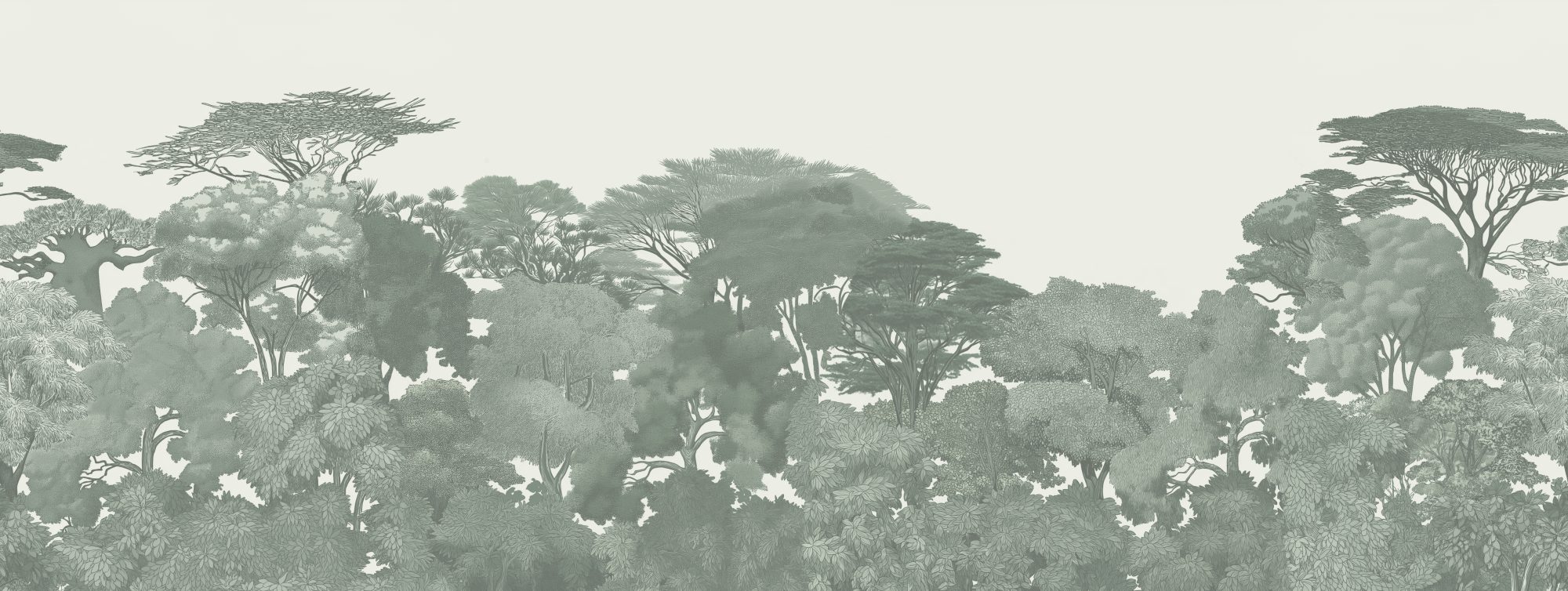 Acacia Treeline 4 Wallpaper and Wall Murals South Africa Acacia Treeline, treeline in sage green and cream mural - WallpaperOnline