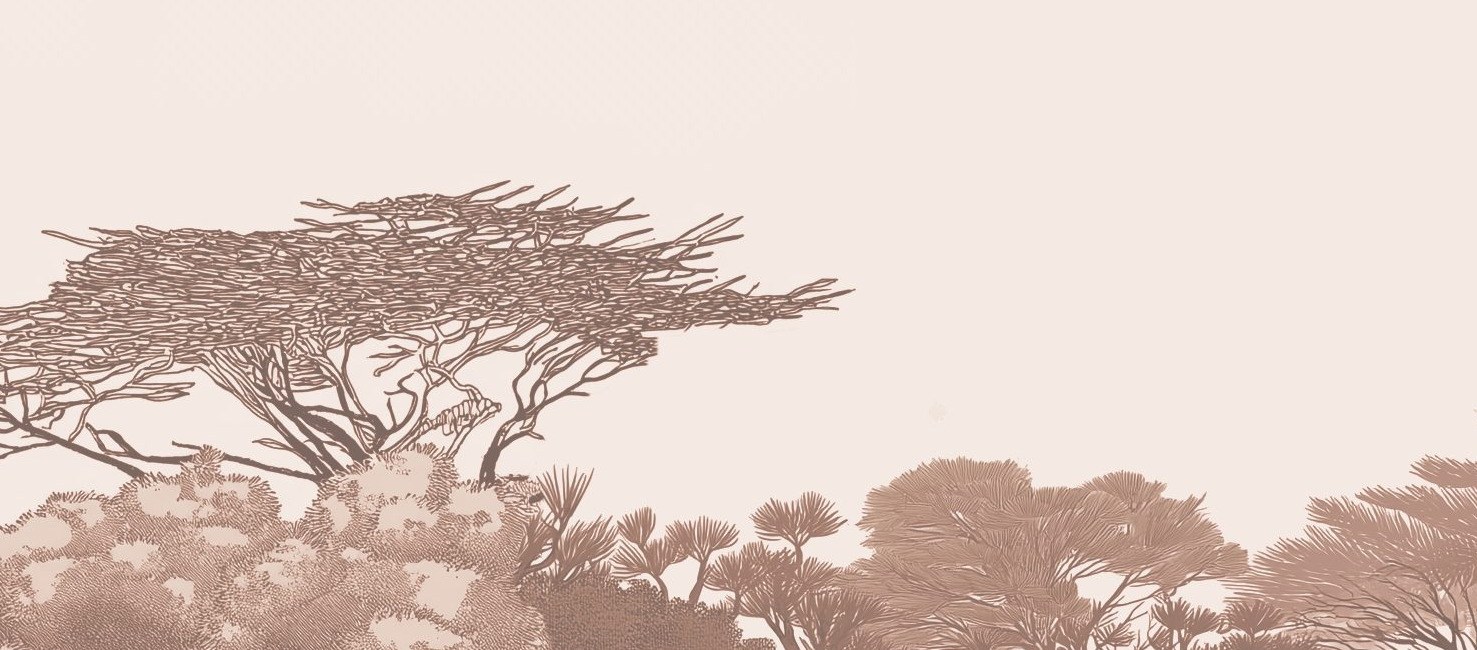 Kruger Soft Terracotta Treeline Mural 3 Wallpaper and Wall Murals South Africa Kruger Treeline close-up showing texture and colour
