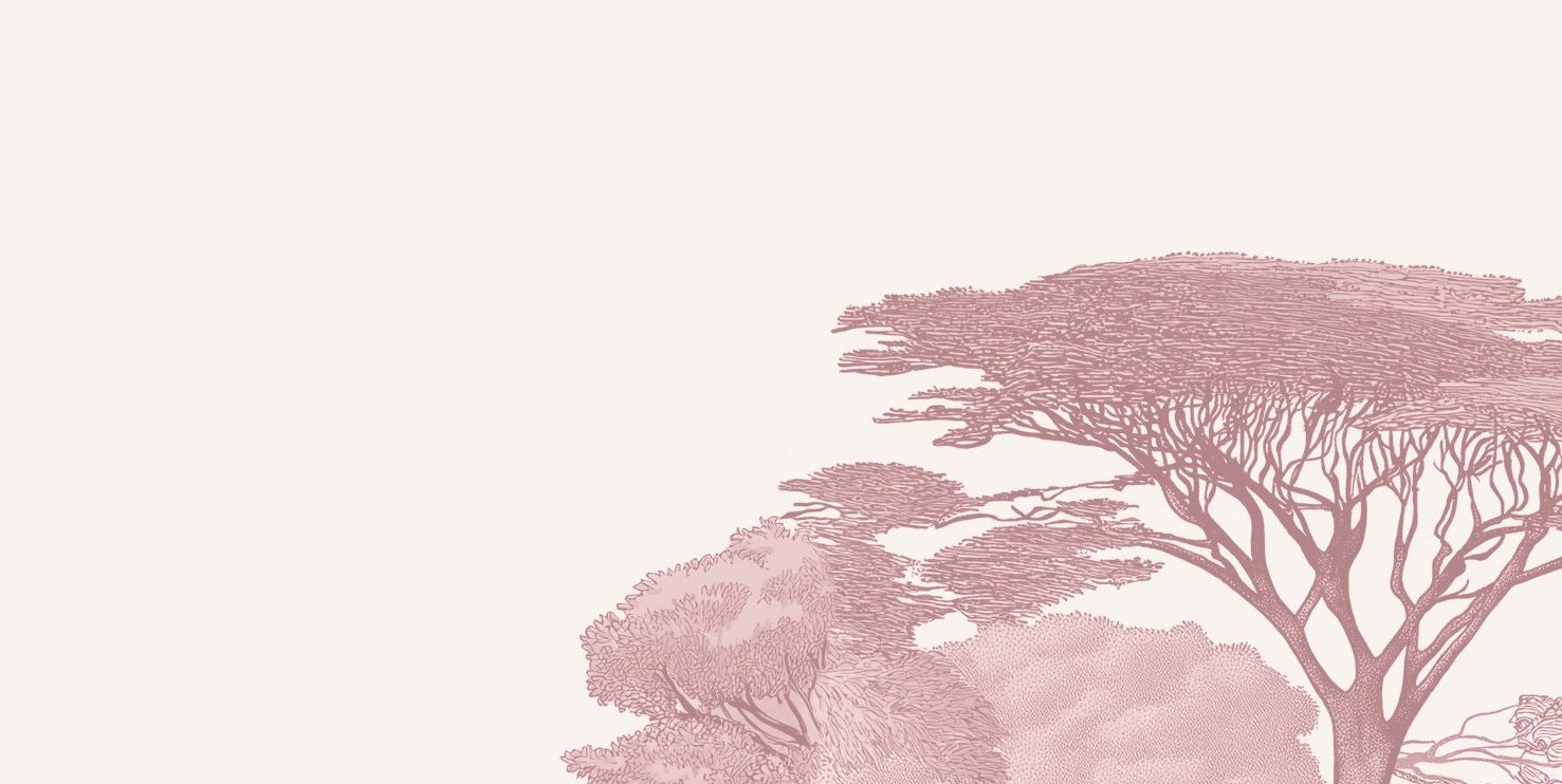 Blush Savanna Treeline 3 Wallpaper and Wall Murals South Africa Blush Savanna Treeline close-up showing texture and colour