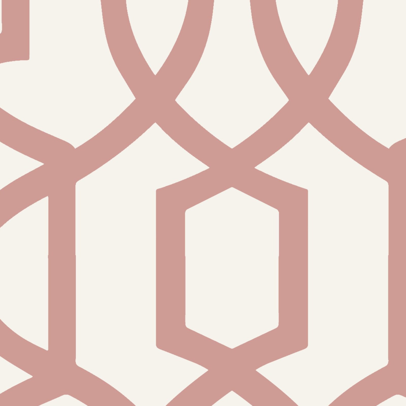 Pizazz Trellis Blush 4 Wallpaper and Wall Murals South Africa Pizazz Trellis Blush close-up showing texture and colour
