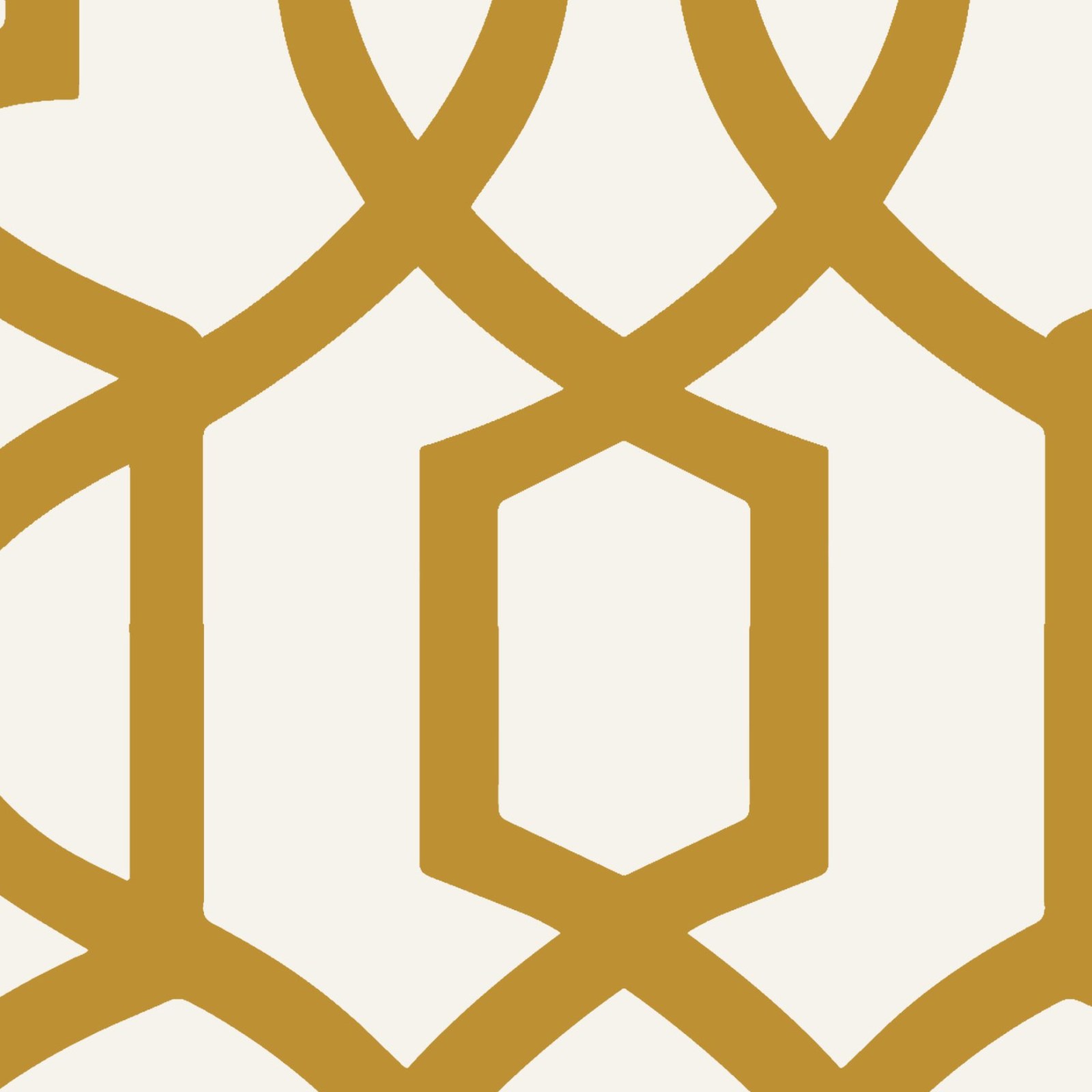 Pizazz Trellis Ochre 4 Wallpaper and Wall Murals South Africa Pizazz Trellis Ochre close-up showing texture and colour