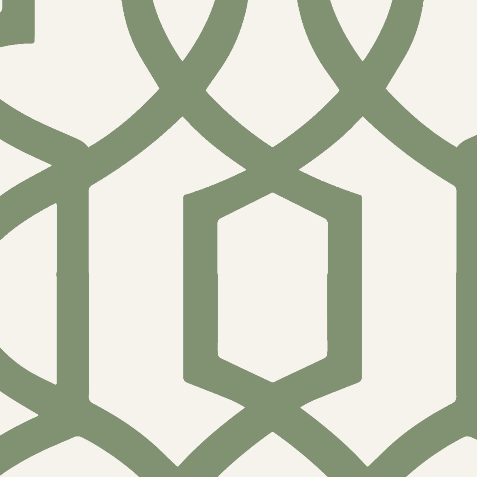 Pizazz Trellis Sage 4 Wallpaper and Wall Murals South Africa Pizazz Trellis Sage close-up showing texture and colour