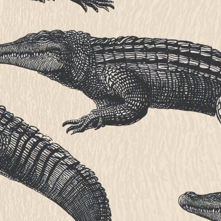 Smile Crocodile Charcoal 3 Wallpaper and Wall Murals South Africa Smile Crocodile Charcoal close-up showing texture and colour