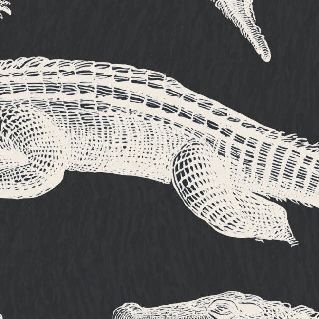 Monochrome Crocodile Shoal 3 Wallpaper and Wall Murals South Africa Monochrome Crocodile Shoal close-up showing texture and colour