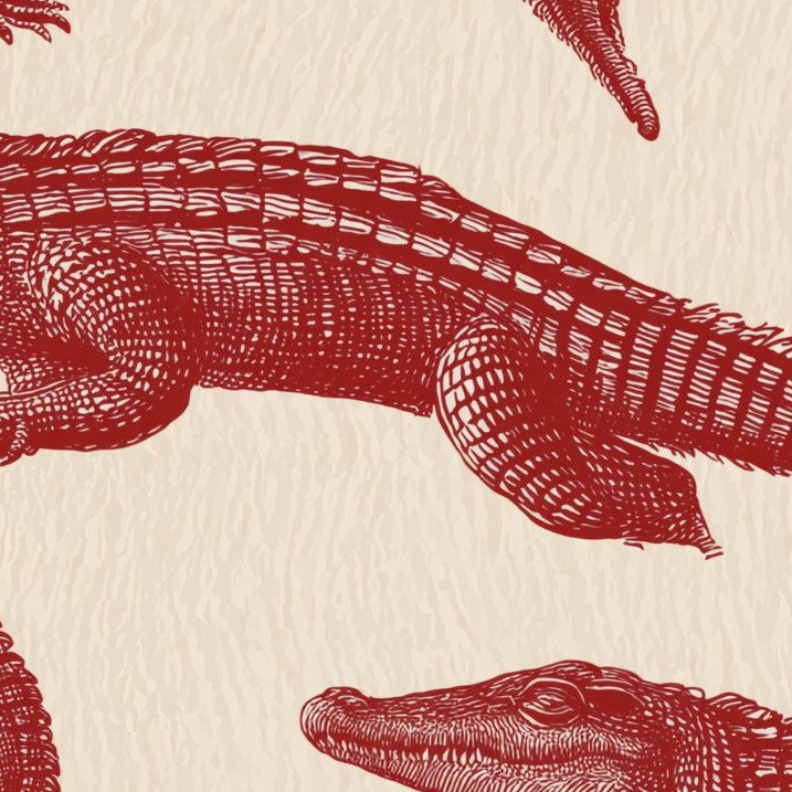Smile Crocodile Red 3 Wallpaper and Wall Murals South Africa Smile Crocodile Red close-up showing texture and colour