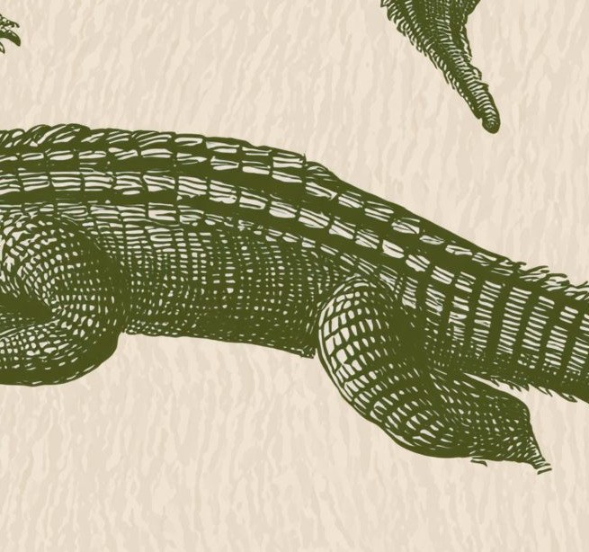 Olive Crocodile Parade 3 Wallpaper and Wall Murals South Africa Olive Crocodile Parade close-up showing texture and colour