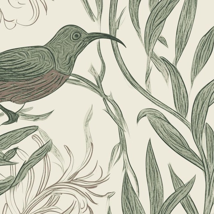 Sugarbird Sage 4 Wallpaper and Wall Murals South Africa Sugarbird Sage close-up showing texture and colour