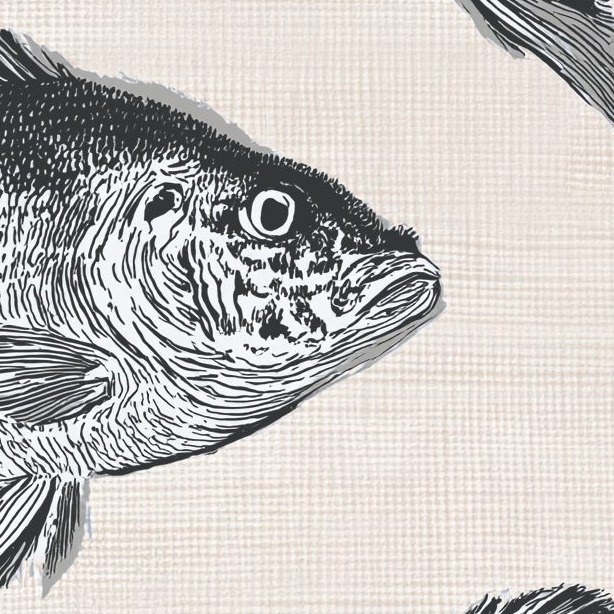 Charcoal Fish Shoal 3 Wallpaper and Wall Murals South Africa Charcoal Fish Shoal close-up showing texture and colour