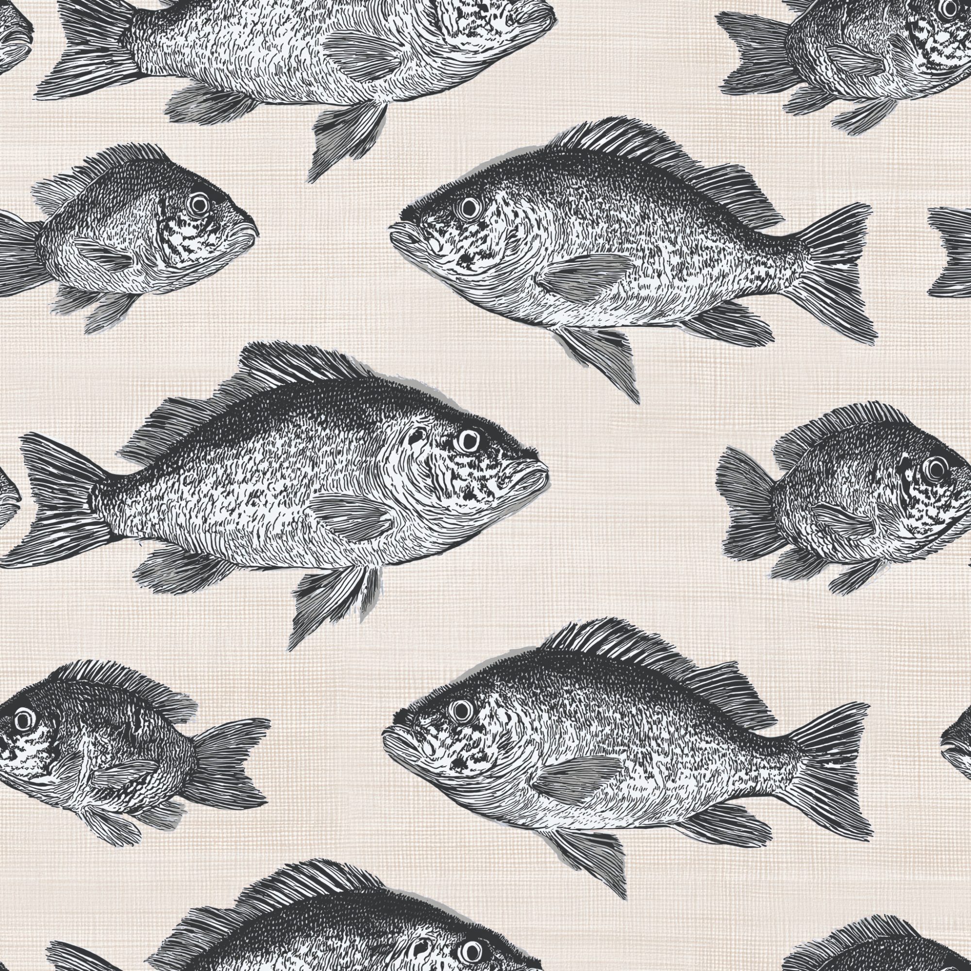 Charcoal Fish Shoal 4 Wallpaper and Wall Murals South Africa Charcoal Fish Shoal, fish in charcoal and blush wallpaper - WallpaperOnline