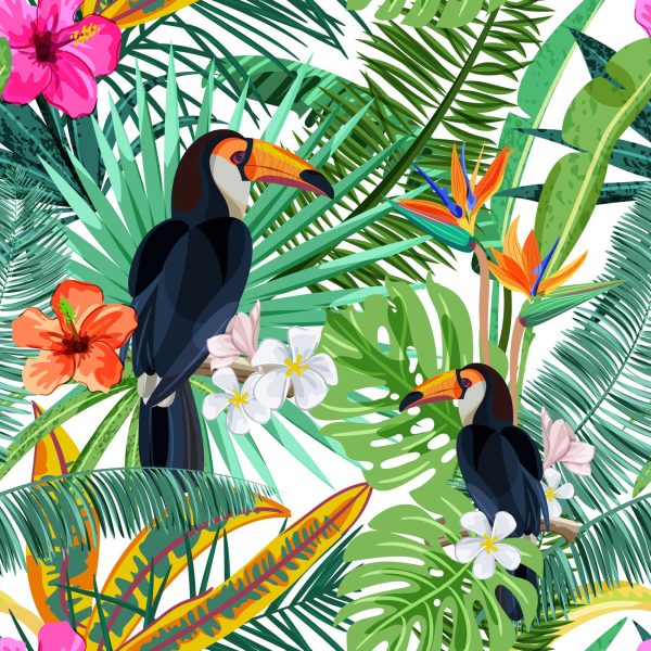 Toucan Jungle Wallpaper
