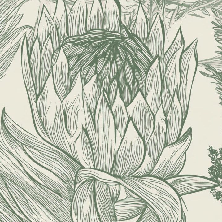 Protea Fynbos Sketch 3 Wallpaper and Wall Murals South Africa Protea Fynbos Sketch close-up showing texture and colour
